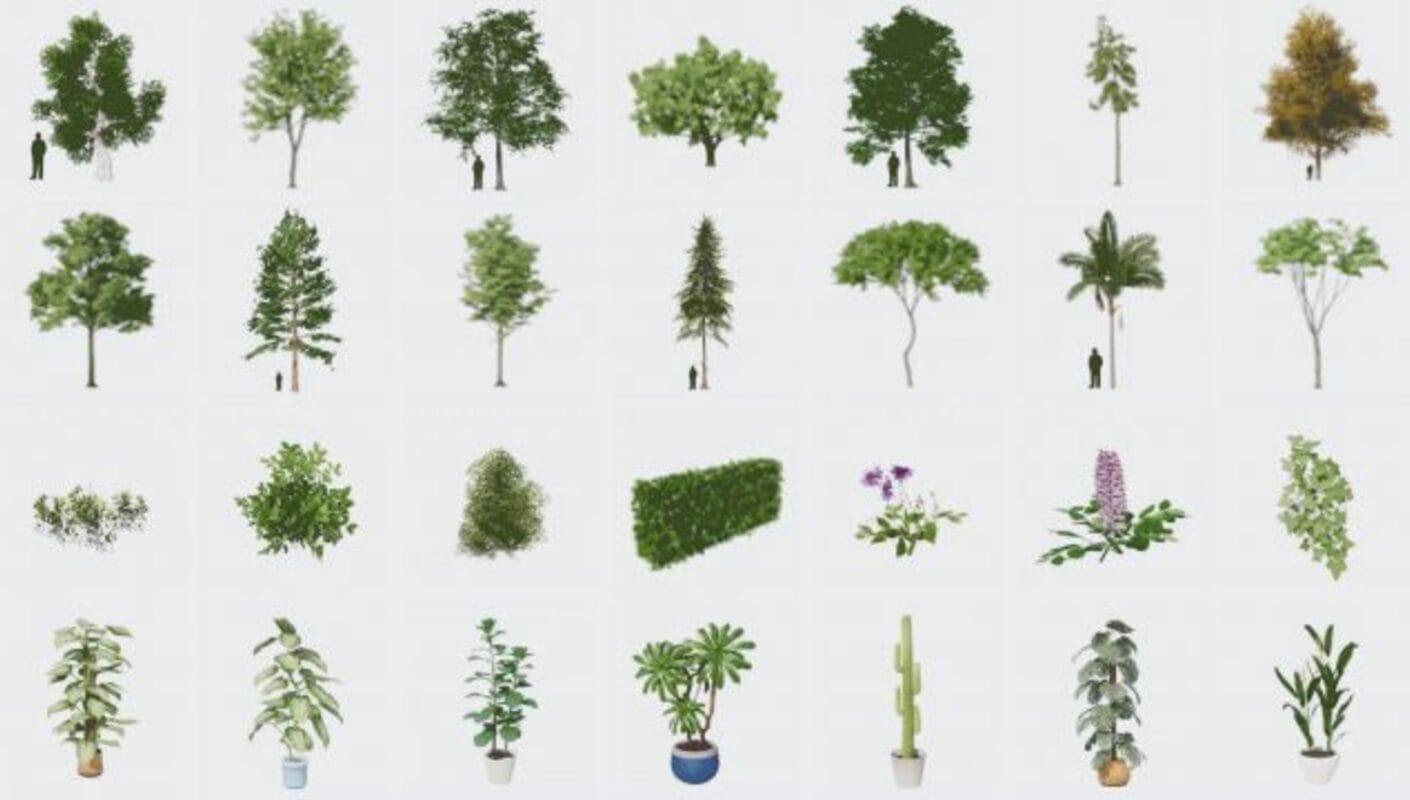 Enscape-Asset-Library-Vegetation-pun59hzonmypiz15czp1a3i653sbi4a9nuxrv722vk.jpg